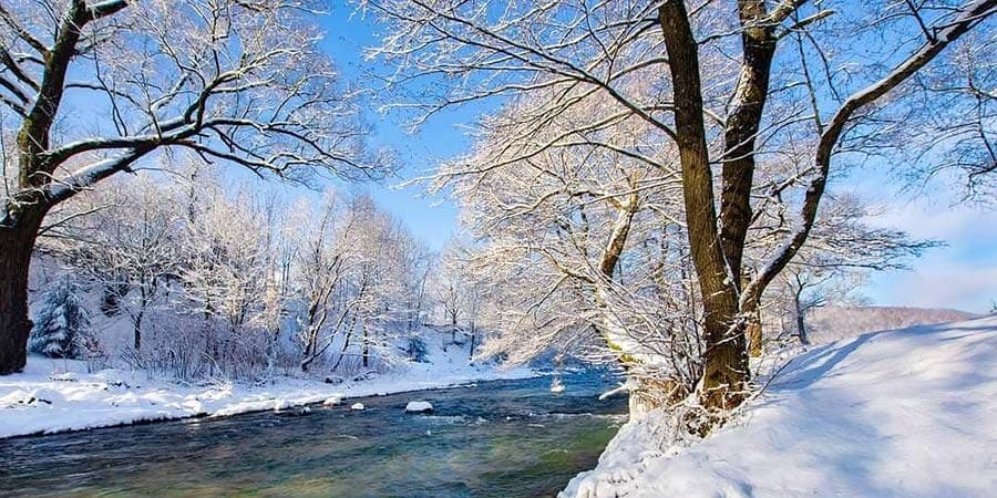Готель «Квітка Закарпаття» — територія