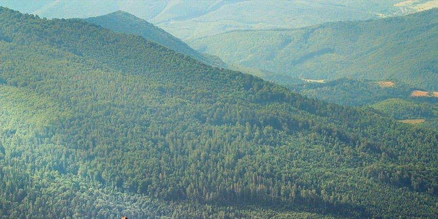 Садиба «Пікуй» — територія